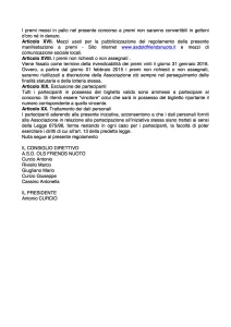 Lotteria - regolamento 2015 (3)